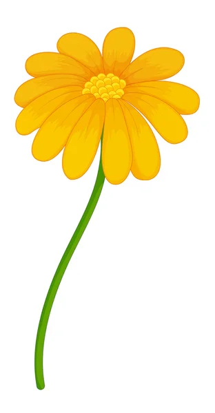 Квіти — стоковий вектор