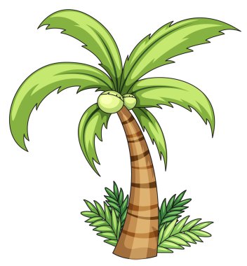 Coconut palm clipart