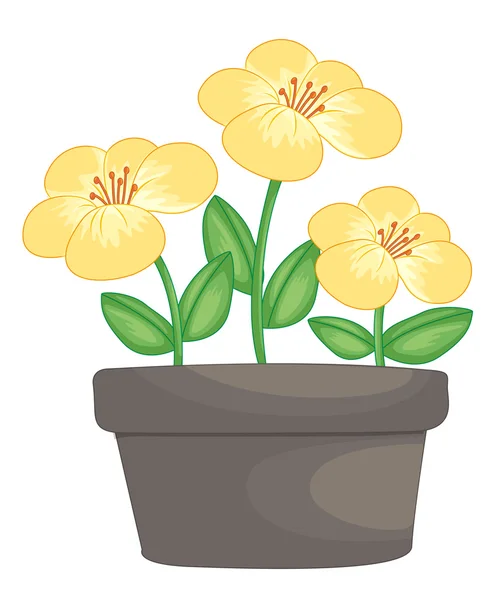 Λουλούδια σε μια κατσαρόλα — Διανυσματικό Αρχείο