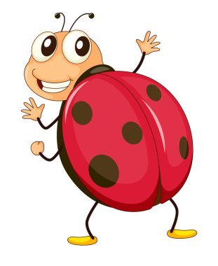 ladybird clipart