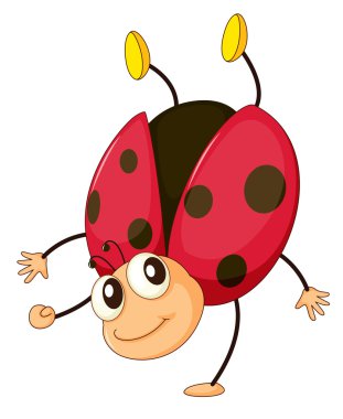 ladybird clipart