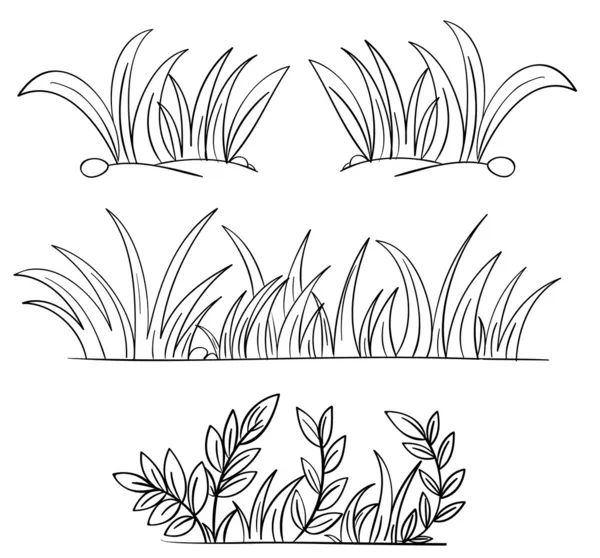 Gras — Stockvektor