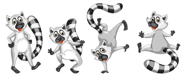 Lemurs — Stockový vektor