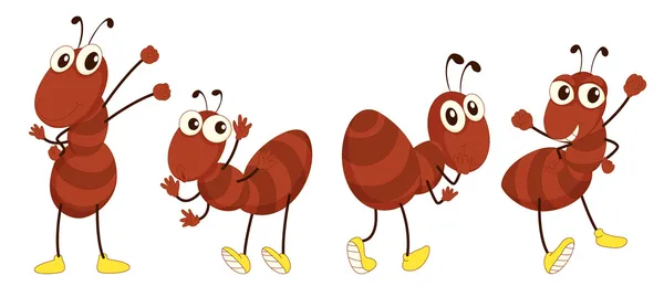 Karıncalar — Stok Vektör
