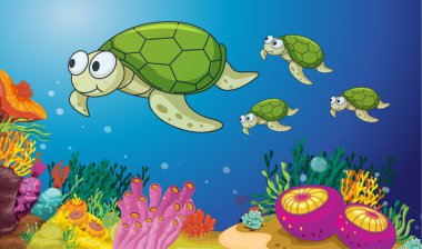 turtles clipart
