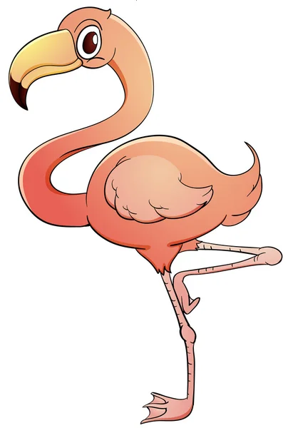 Flamingo — Stockvector