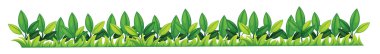 Grass texture clipart