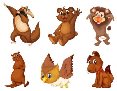 Animal series clipart