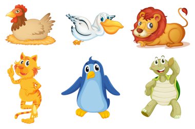 Animal series clipart