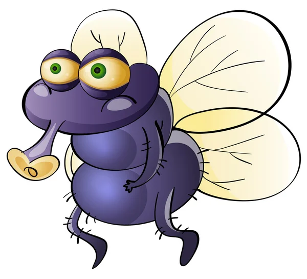 Грязная муха — стоковый вектор