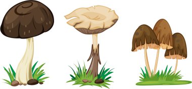 mushroom clipart