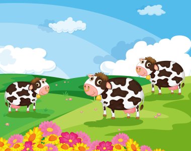 three cows clipart