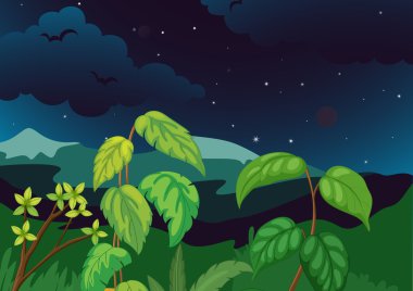 Forest at night clipart