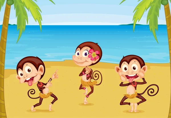 Three Monkeys on a Beach — Stock Vector
