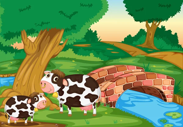 Dvě krávy — Stockový vektor