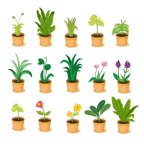 Коллекция растений — стоковый вектор