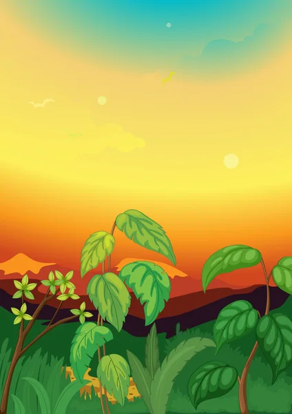 Coucher de soleil dans la jungle — Image vectorielle