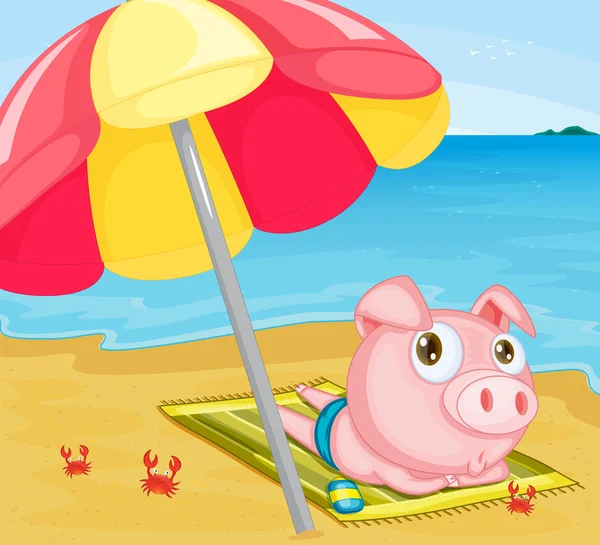 Pig at the beach — Stock Vector