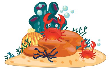 Animal illustration clipart