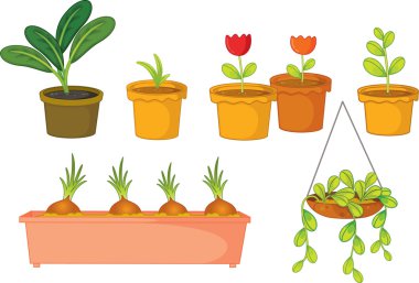 plants clipart