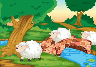 Sheep clipart