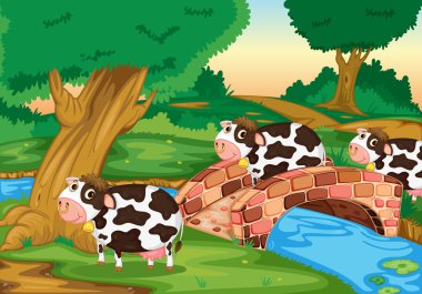 3 cows clipart