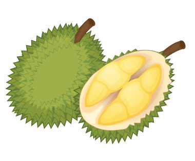 Fruit illustration clipart