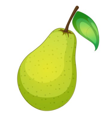 Fruit illustration clipart