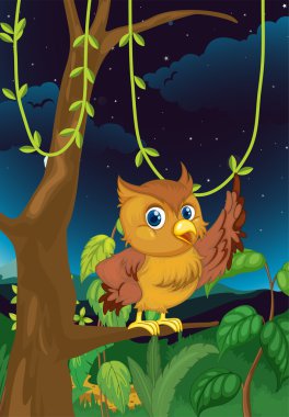 night owl clipart