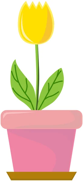 Rostlina — Stockový vektor