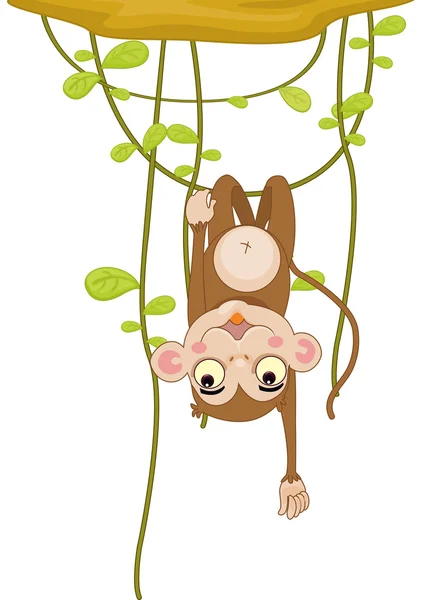 Scimmia — Vettoriale Stock