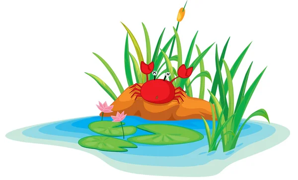 Crab — Stock Vector