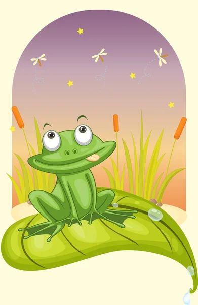 Frog on a leaf — Stock Vector
