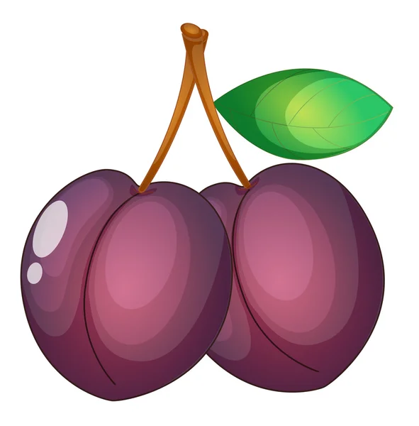 Illustrazione della frutta — Vettoriale Stock