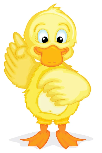 Duck illustration — Stock Vector