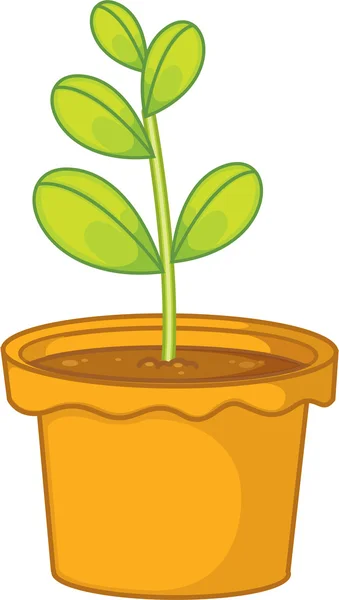 Rostlina — Stockový vektor