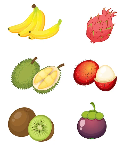 Fruits — Stock Vector