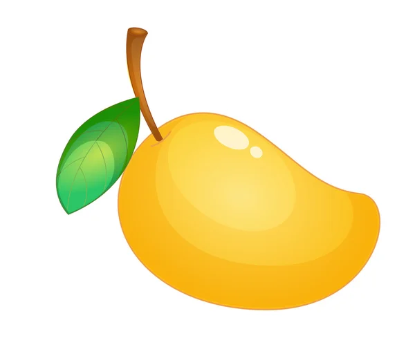Illustration de fruits — Image vectorielle