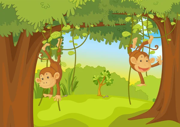 Monkeys — Stock Vector