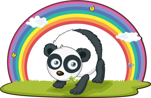 Panda! — Stock Vector