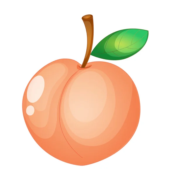 Fruit illustratie — Stockvector