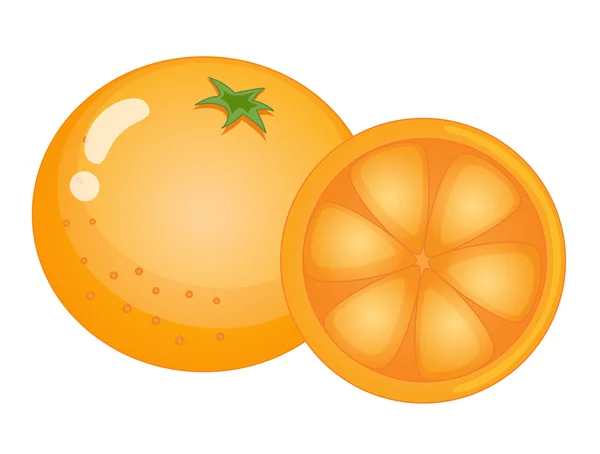 Fruit illustration — Stock Vector