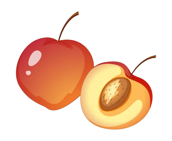 Ovoce ilustrace — Stockový vektor