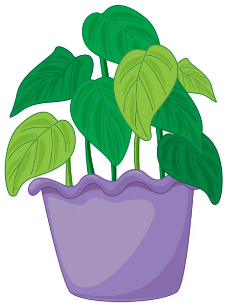 植物 — 图库矢量图片