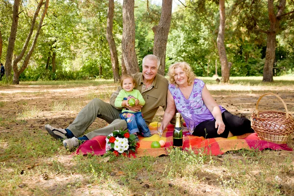 夫妇在森林中野餐 — 图库照片