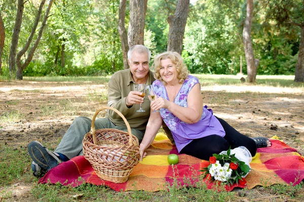 Couple picnicking in the forest — Stock Photo, Image