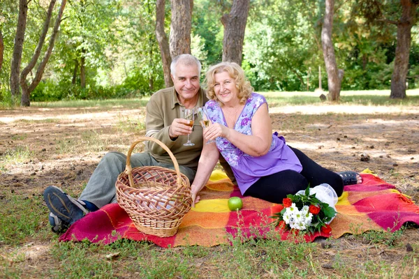 Paar picknickt im Wald — Stockfoto