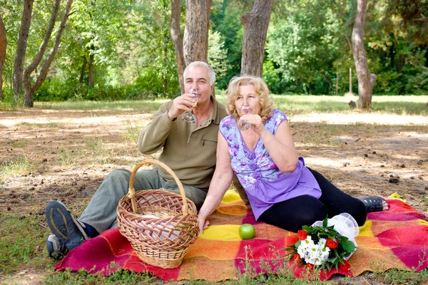 Couple picnicking in the forest — Stock Photo, Image