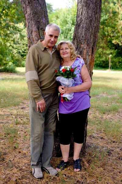 Adorable senior couple — Stock Photo, Image