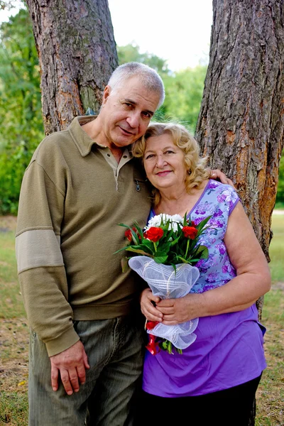 Adorable pareja de ancianos — Foto de Stock